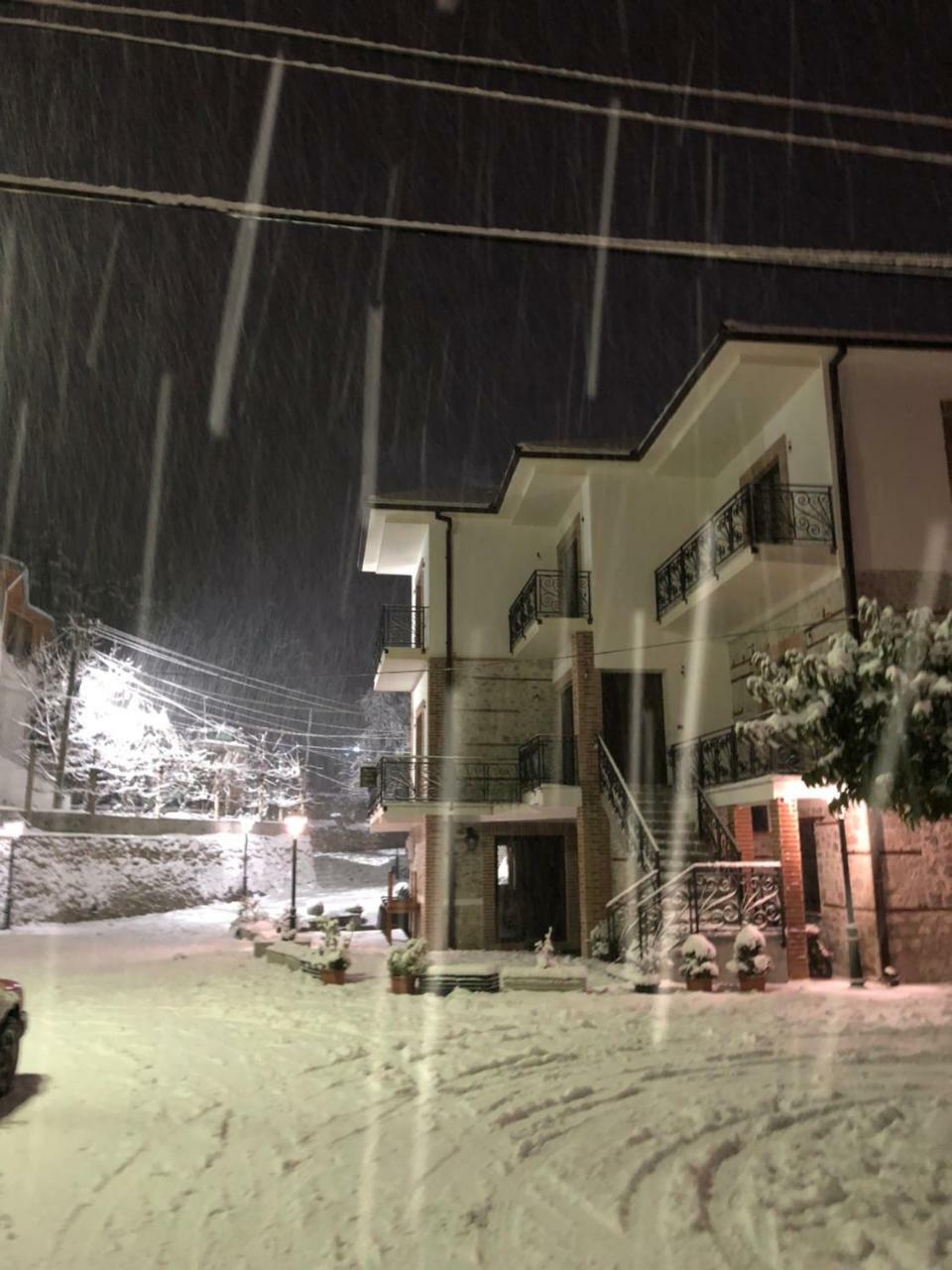 Vila Ilo Tushemisht Εξωτερικό φωτογραφία